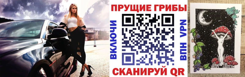 Псилоцибиновые грибы ЛСД blacksprut онион Ростов